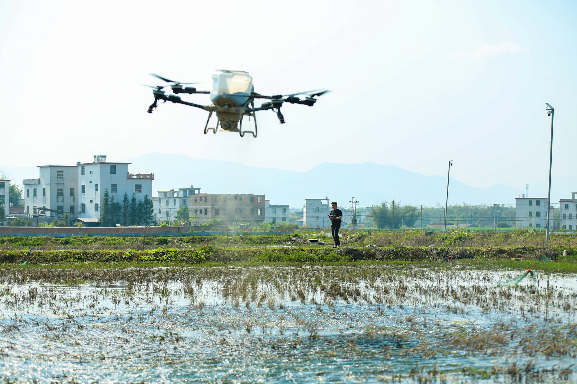 江西大余“赣南早虾”绘就致富新图景(图3)
