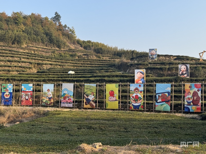 地标中国行·采茶春山上丨福建厦门:高山戴绿帽茶山迎归人(图4)