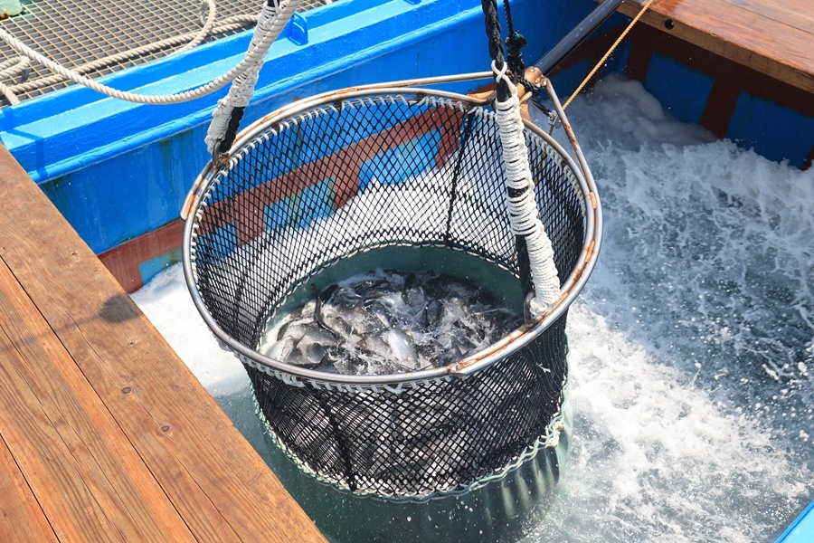 潮起海之南丨海南自贸港“国际朋友圈”为何能持续扩容？(图2)