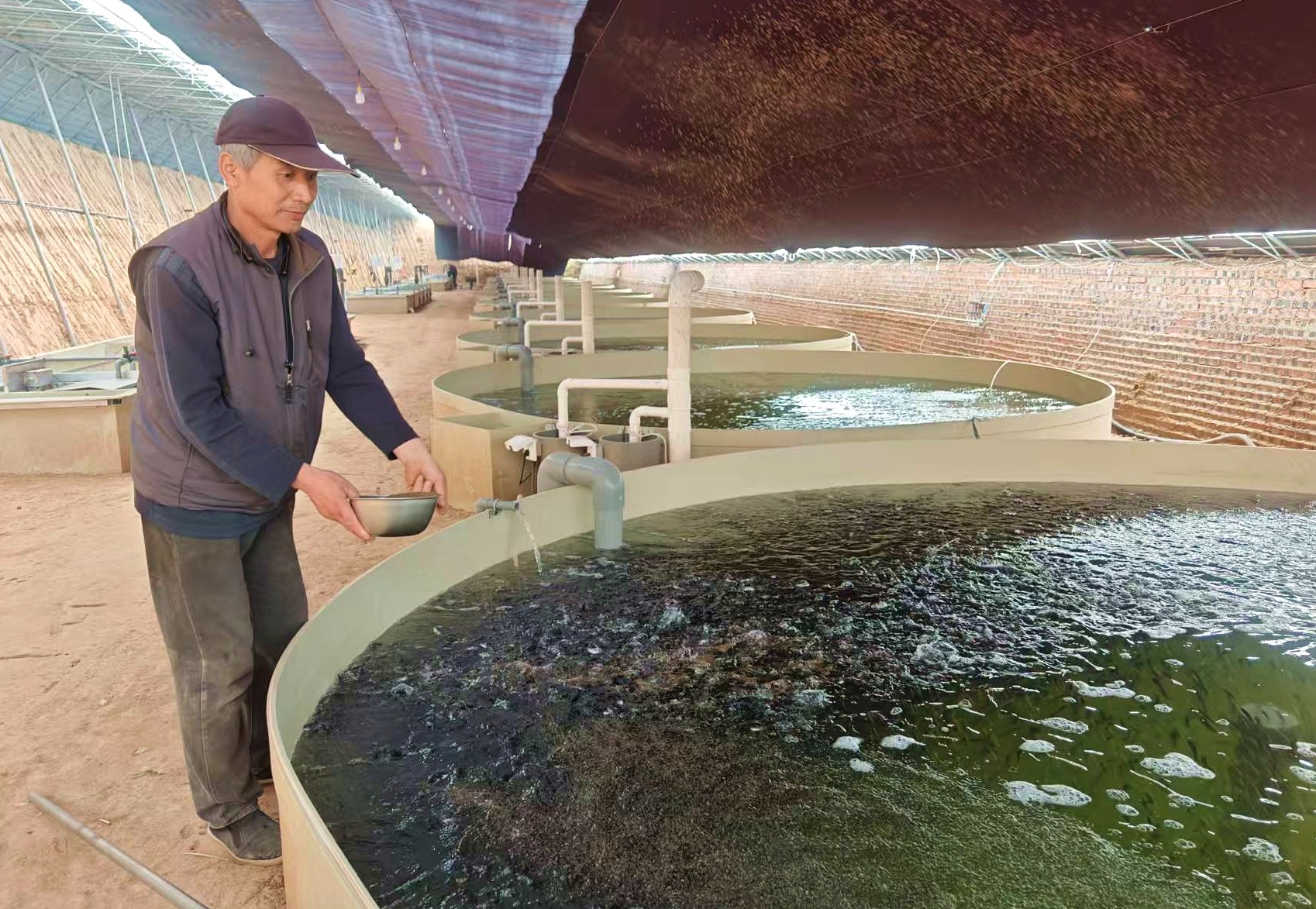 河北定兴:鱼塘上“云端”数字渔业点亮农业新样板(图2)