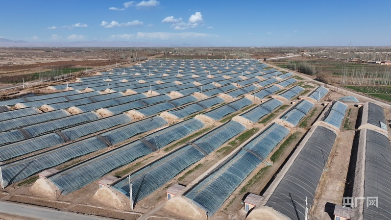 高质量发展“新”速度丨双轮驱动拓市场