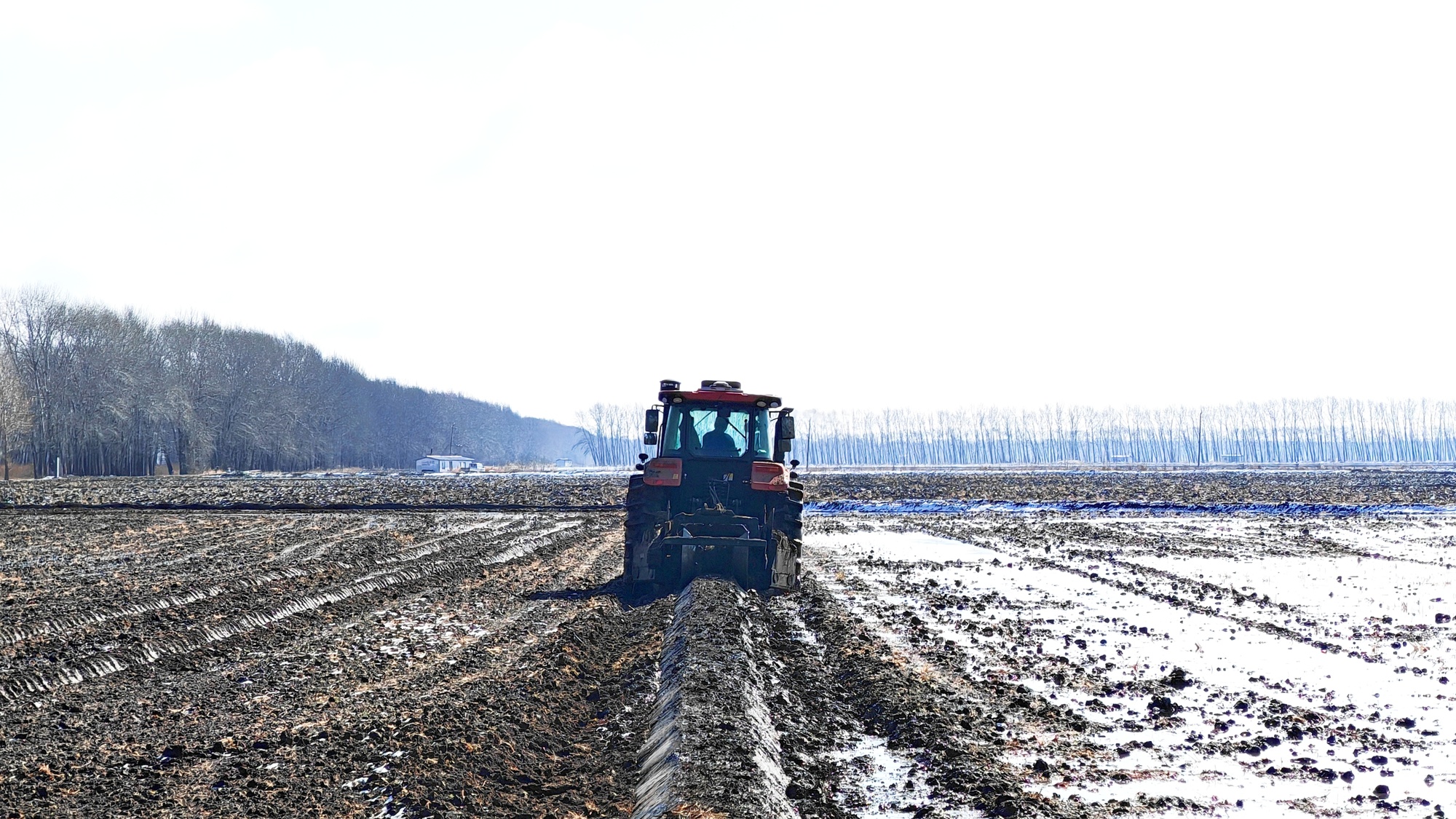 聚焦北大荒丨友谊分公司：水田整地全面进入“北斗导航筑埂”新时代(图1)