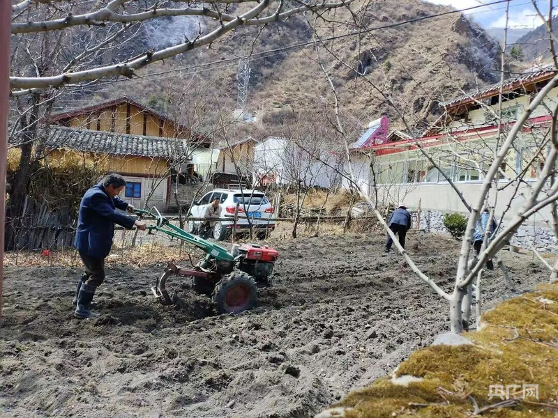 四川松潘县：抢抓农时 产业结构调整“多点开花”