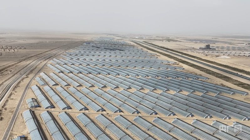 高质量发展“新”速度丨科技赋能引领新疆农业的智慧跨越(图5)