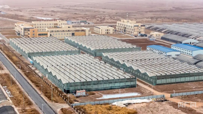 高质量发展“新”速度丨科技赋能引领新疆农业的智慧跨越(图6)