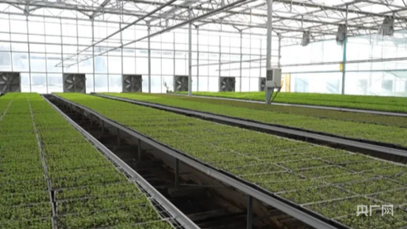 高质量发展“新”速度丨科技赋能引领新疆农业的智慧跨越(图3)