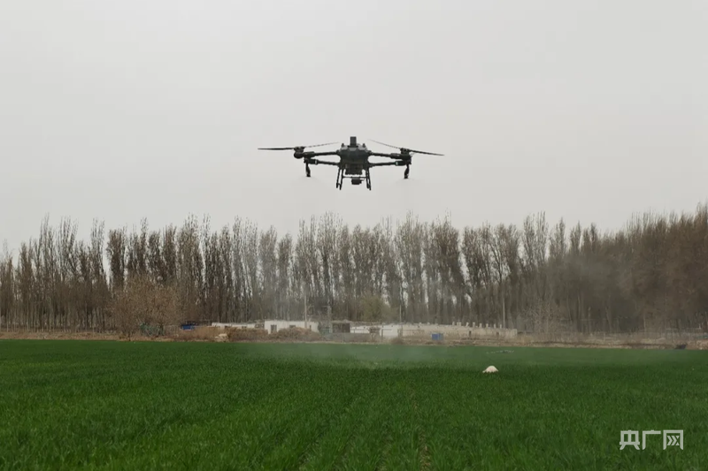 高质量发展“新”速度丨科技赋能引领新疆农业的智慧跨越(图8)