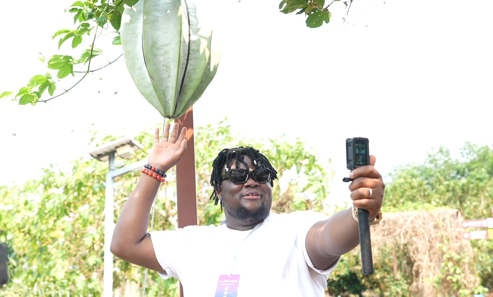 潮起海之南｜海南琼海：“世界热带水果之窗”架起开放与振兴之桥(图2)