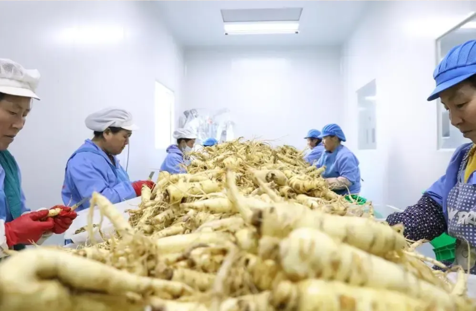 吉林移动：开局即冲刺实干启新程(图2)