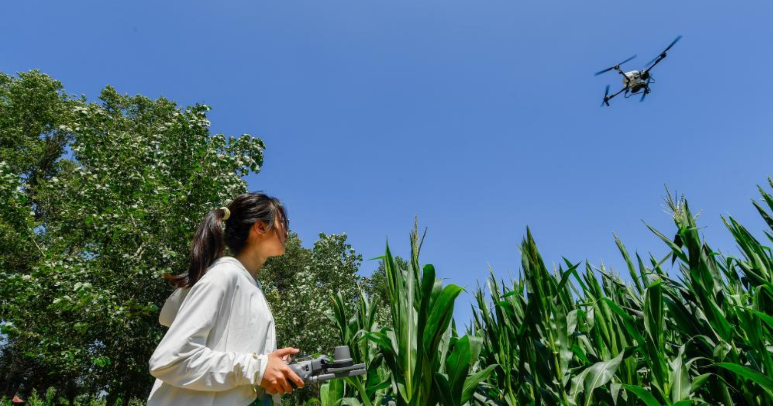 吉林移动：开局即冲刺实干启新程(图3)