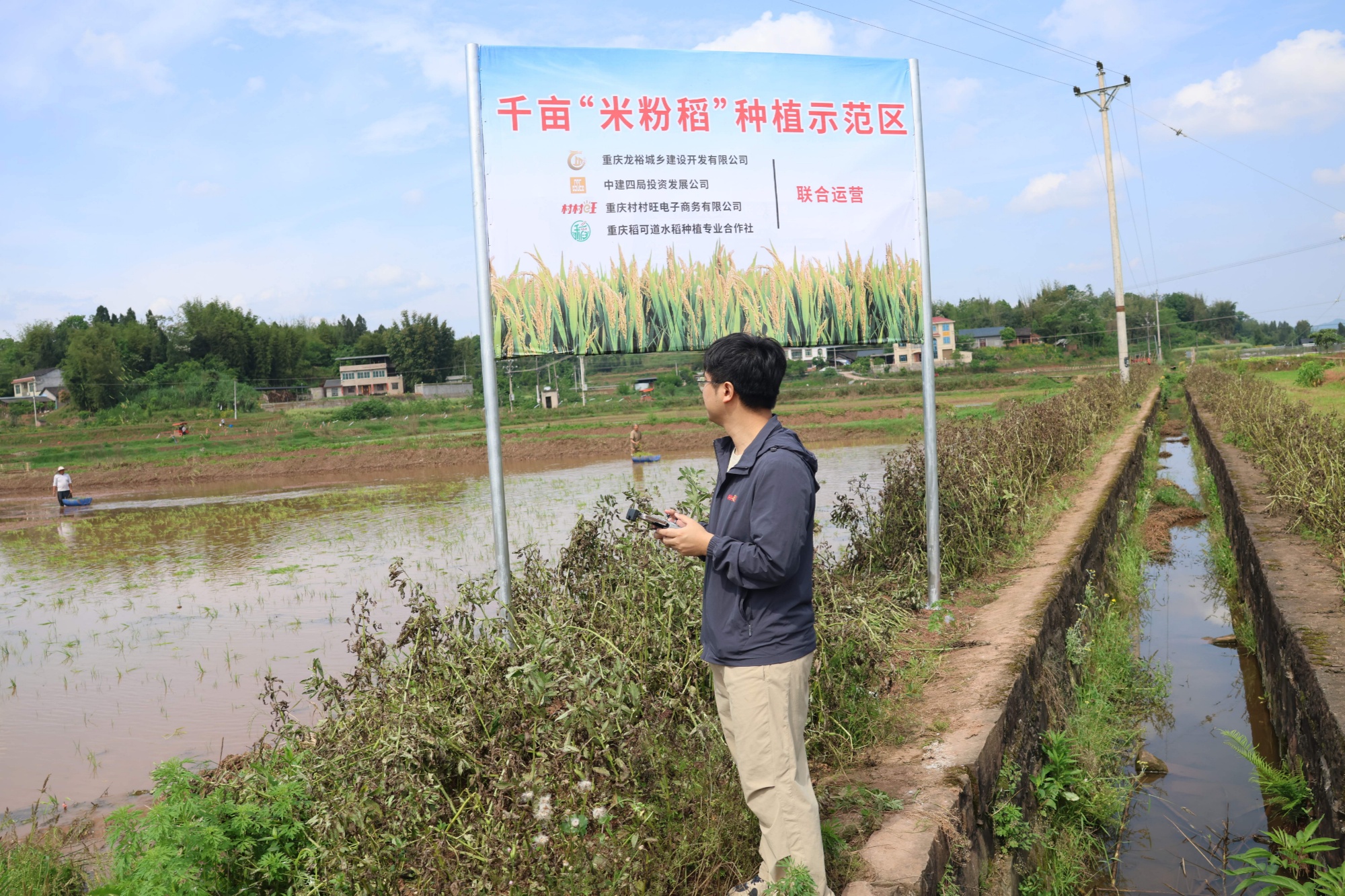 “村村旺”谋划米粉稻特色产业新布局