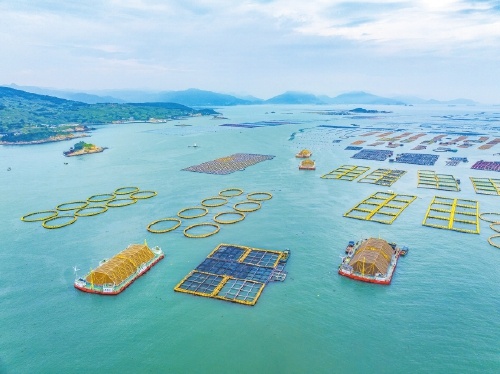 解锁有福之州的数字密钥