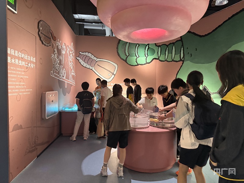 百件珍稀化石亮相 厦门科技馆年度特展《嗨！海怪》开展