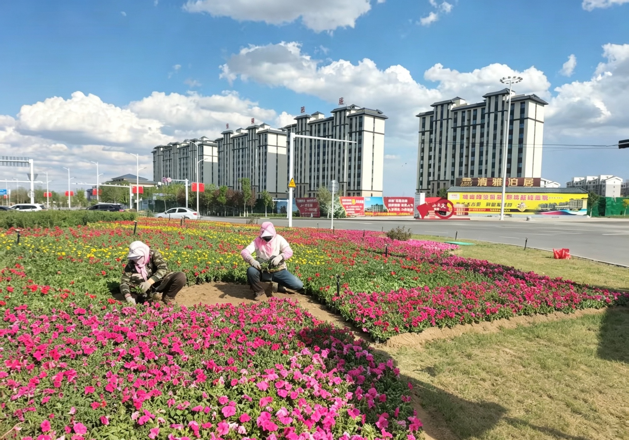 百万花卉扮靓北庭 吉木萨尔县盛装迎“五一”(图2)