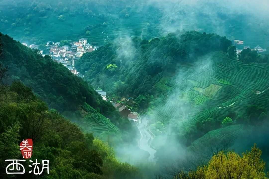 杭州西湖区：龙坞有展，天地为馆