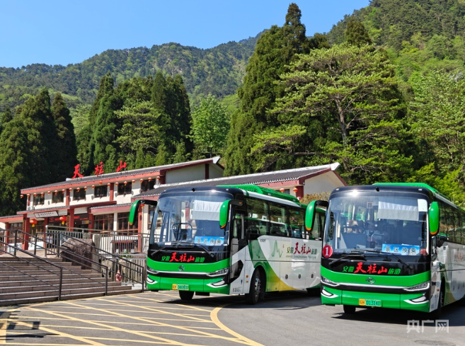 景区摆渡车乱象再引关注 “槽点”如何转化为改进的“锚点”？