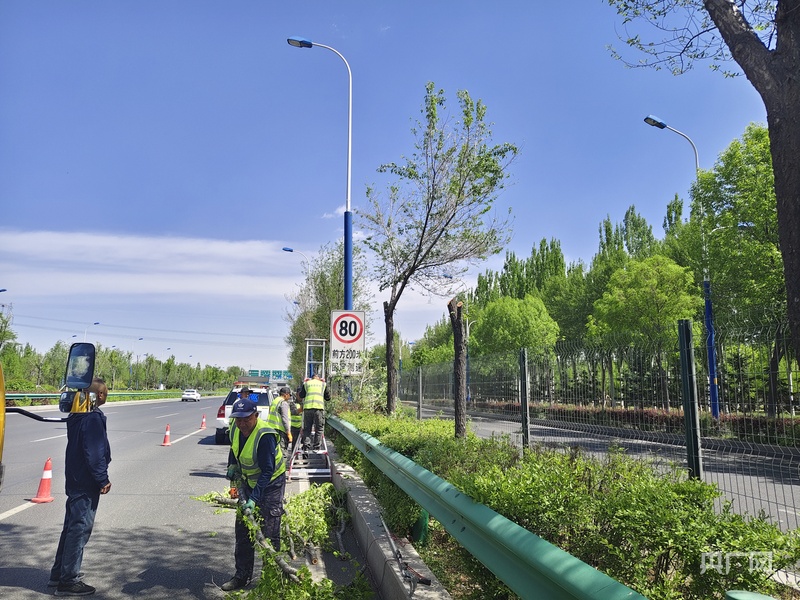 让交通标志清晰可视!呼和浩特给树枝“理发”(图2)