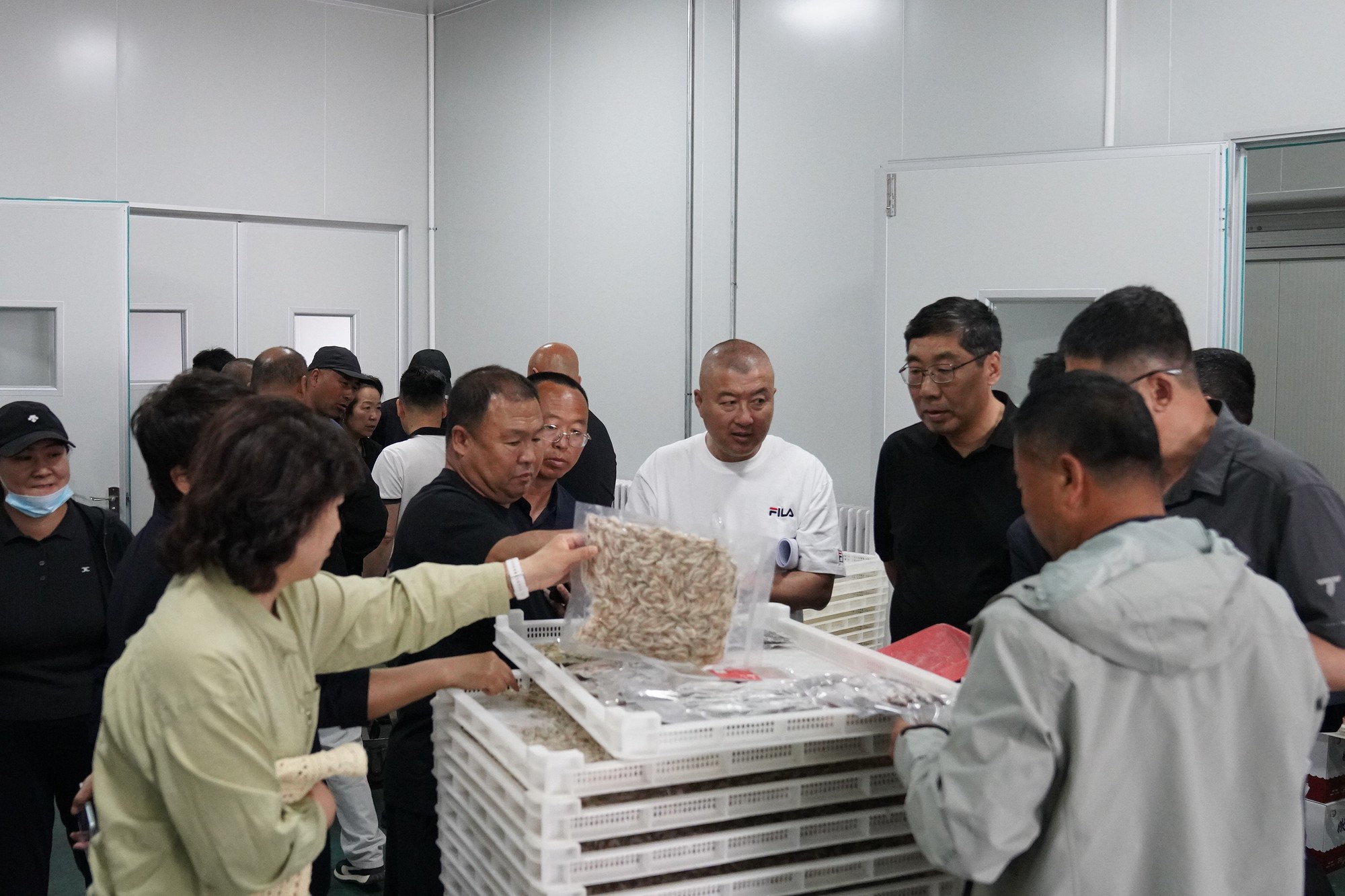 凯发K8国际首页|网文快捕背影家园|镇赉特色水产养殖引来黑蒙