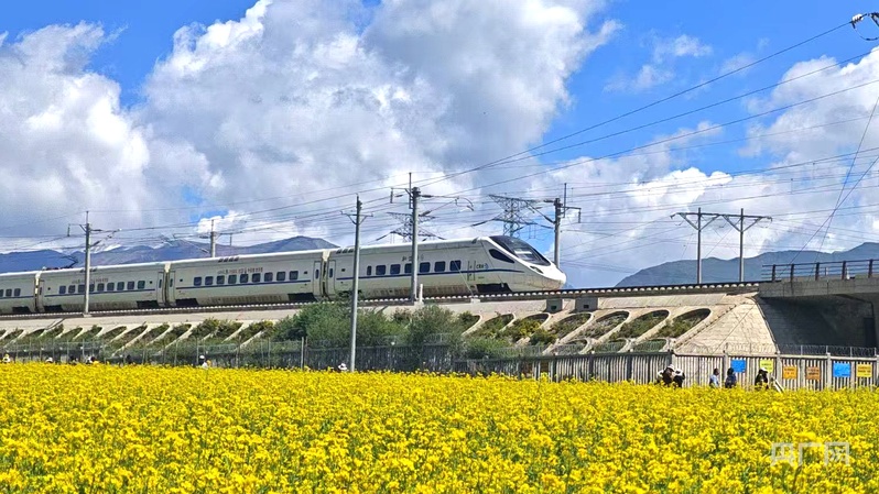 从赶路到慢游！旅游专列解锁文旅“新玩法”
