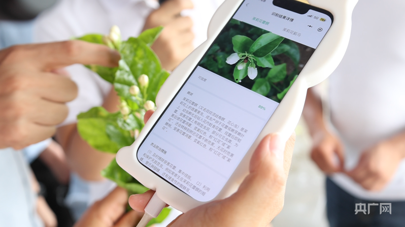 数字技术精准赋能八桂大地“智”变升级(图2)