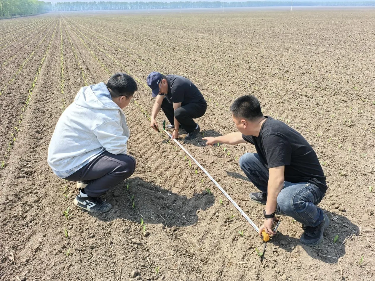 聚焦北大荒|勤得利分公司深耕田间抓管护 护航旱田促丰收_央广网
