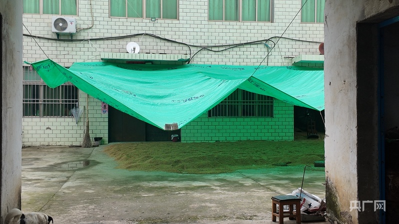 中国之声一线调研丨湖北襄阳夏粮抢收遇多重考验如何进一步提高粮食生产抗灾能力？(图1)