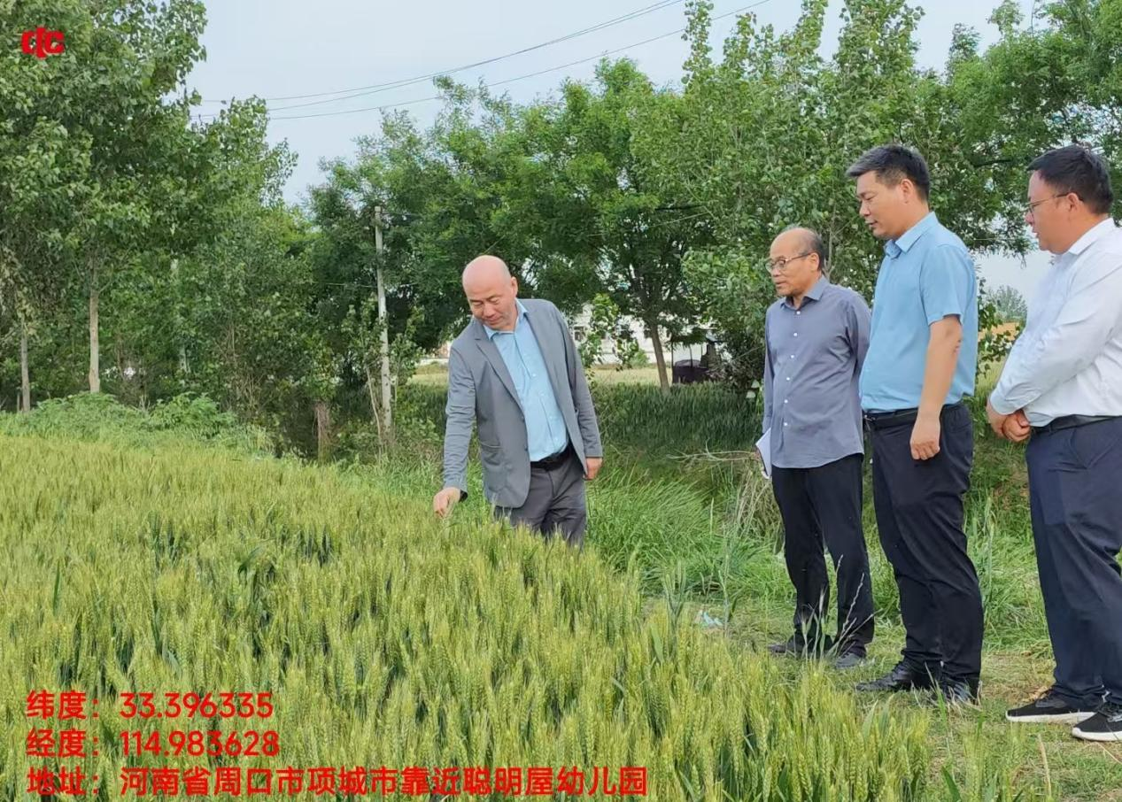 雨天守粮仓 服务靠前站