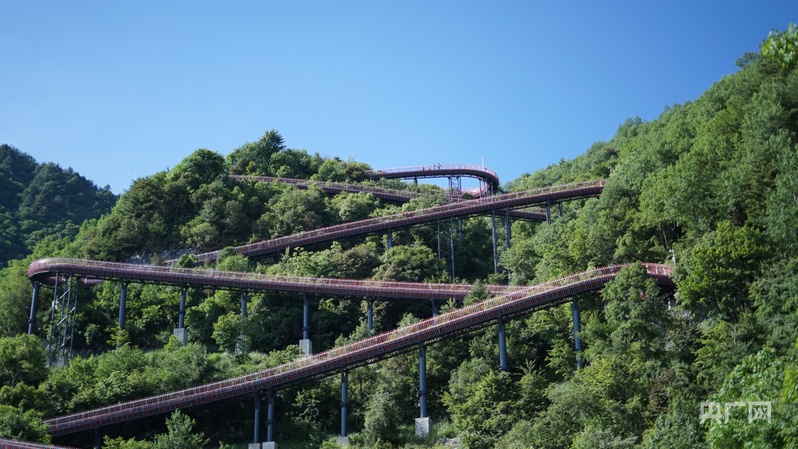 甘肃康县青龙山“点绿成金”