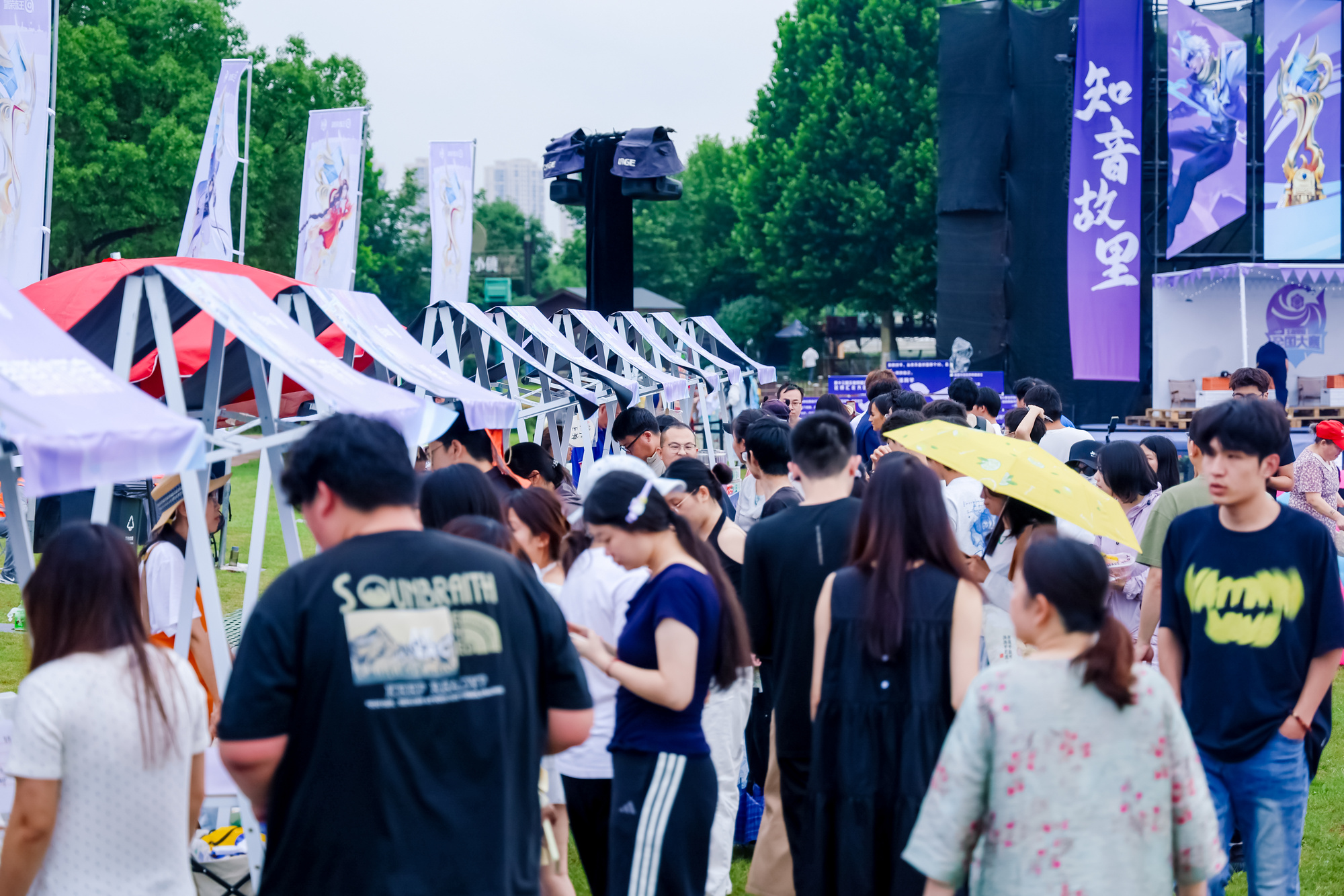 千亩花海上演巅峰对决:第十三届王者荣耀全国大赛北大区决赛在武汉蔡甸燃情开战(图1)