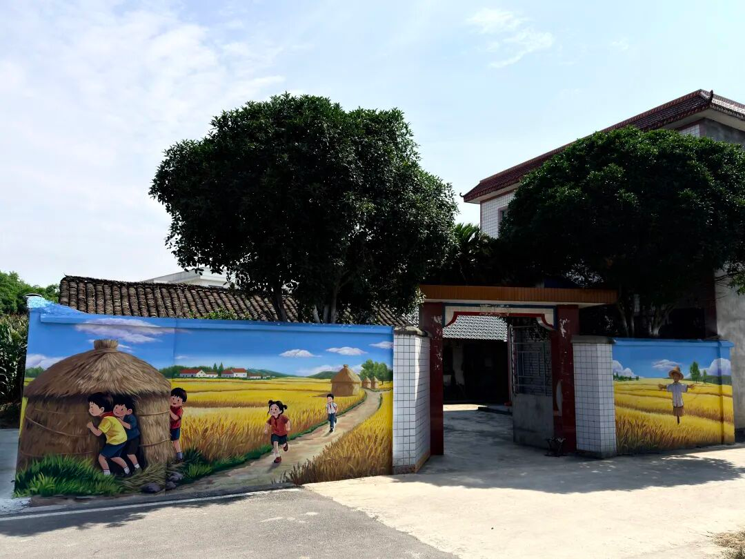 “传统种粮”到“农旅融合”眉山东坡千亩良田藏新景