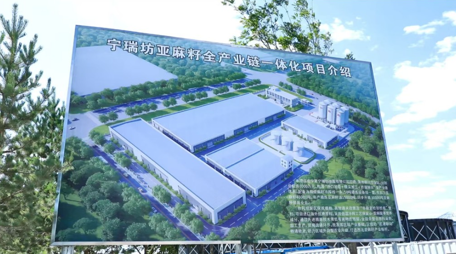银川综保区招商引资按下“快进键”(图3)