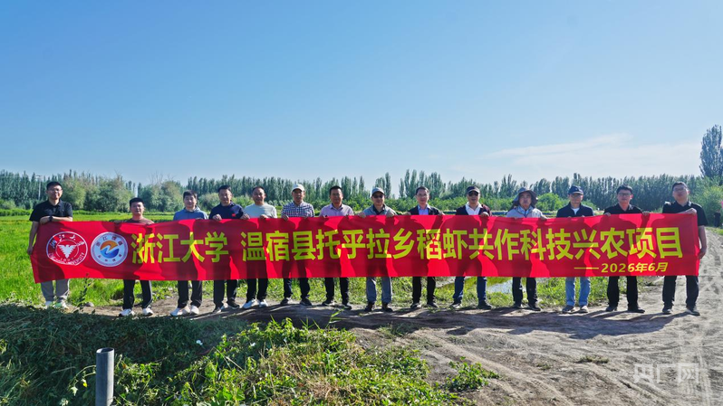 高质量发展“新”速度丨稻虾共作再升级温宿县探索全稻田养殖新模式(图3)