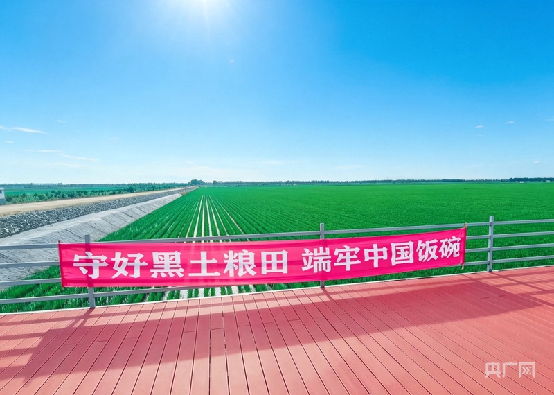 全国土地日丨惜一方珍贵黑土守万里粮仓沃土(图1)