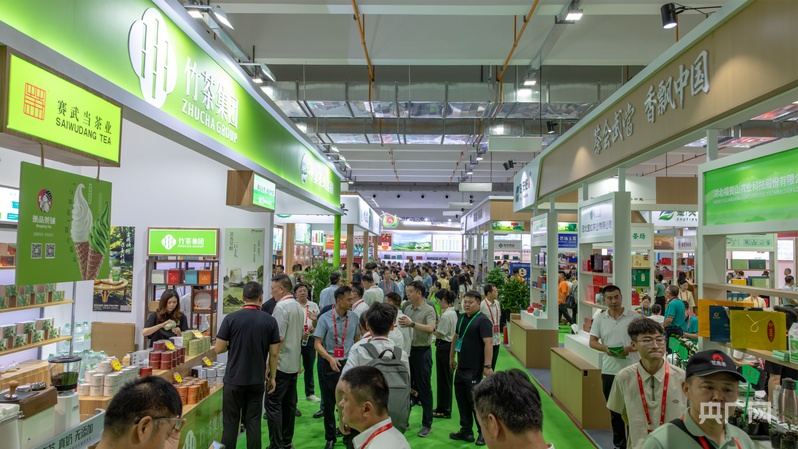 茶会武当香飘中国2026绿茶品牌大会暨武当山茶供应链对接大会在十堰举行(图3)