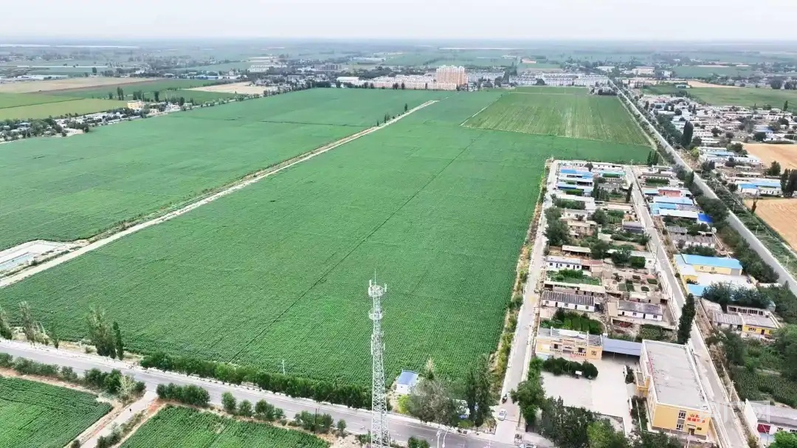 阜康:智慧农机赋能棉田管护高标准农田筑牢增收根基(图1)