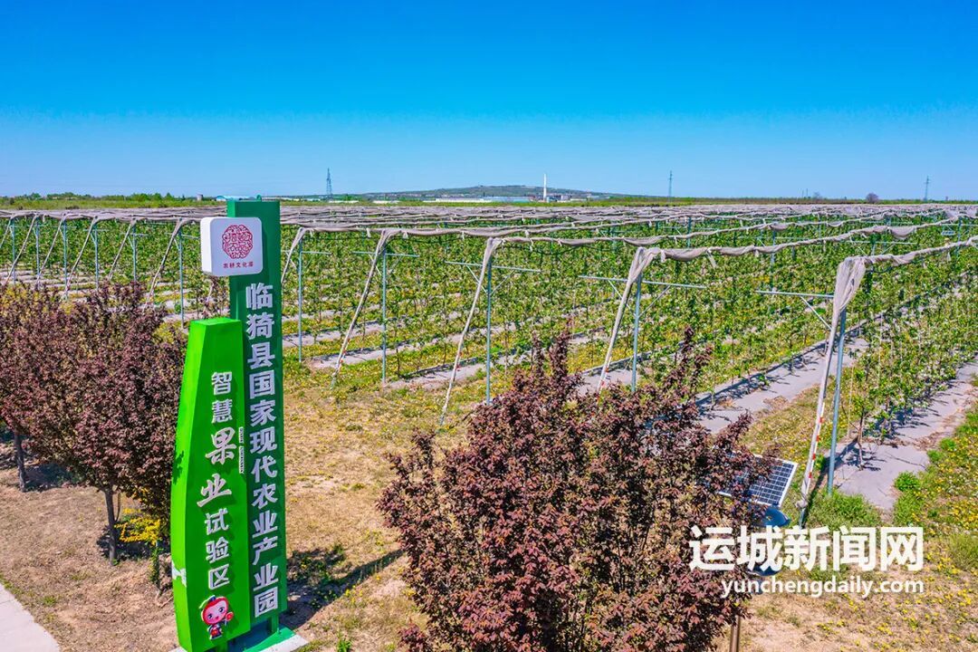 临猗现代农业产业示范区位列山西十三个农业类开发区第一名(图4)