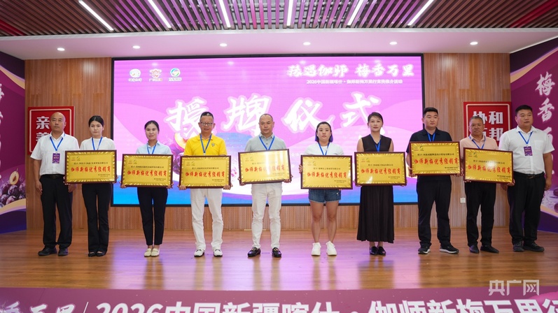 豫伽产销直通 新疆伽师新梅按下东进“快进键”