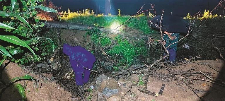 应对台风“巴威” 庄河市多措施护佑群众平安