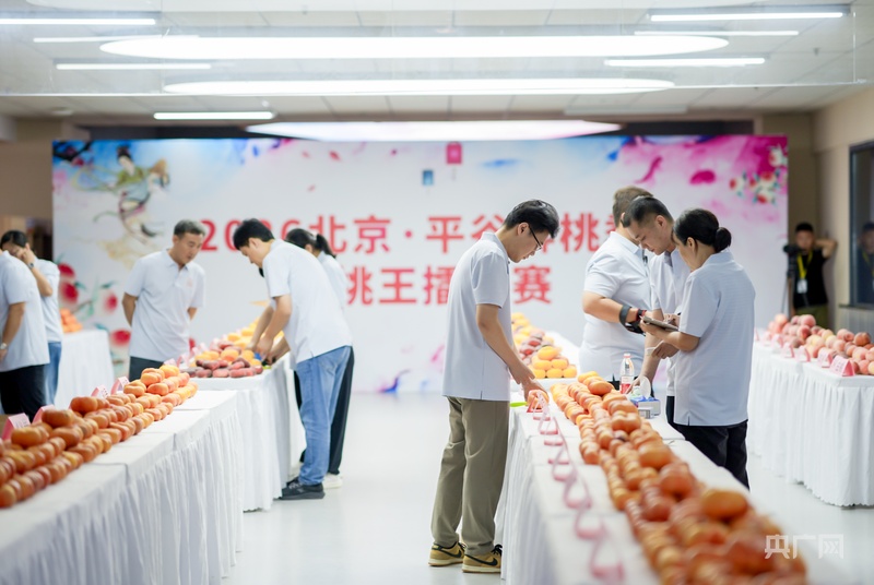 2026北京·平谷鲜桃季启幕(图2)