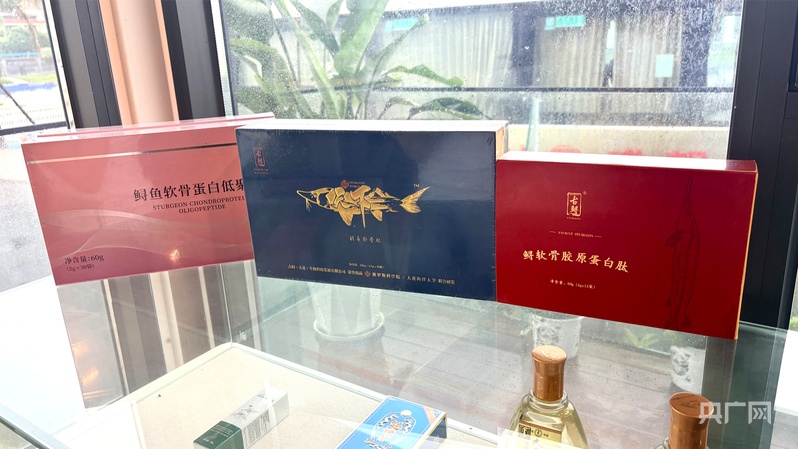 育“黑金”、登“云端”、闯海外四川乐山兴农有道(图3)