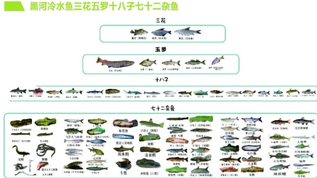 数润黑土智兴三江——看黑龙江省智慧农业新实践(图9)