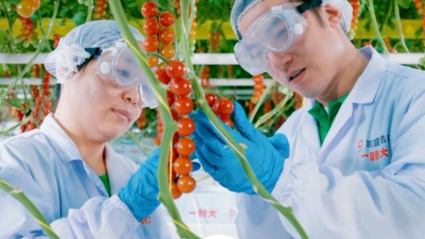 数润黑土智兴三江——看黑龙江省智慧农业新实践(图7)