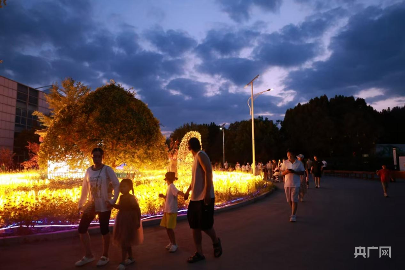 宁夏贺兰县:体育赛事带热夏日经济多元场景激发消费活力(图1)