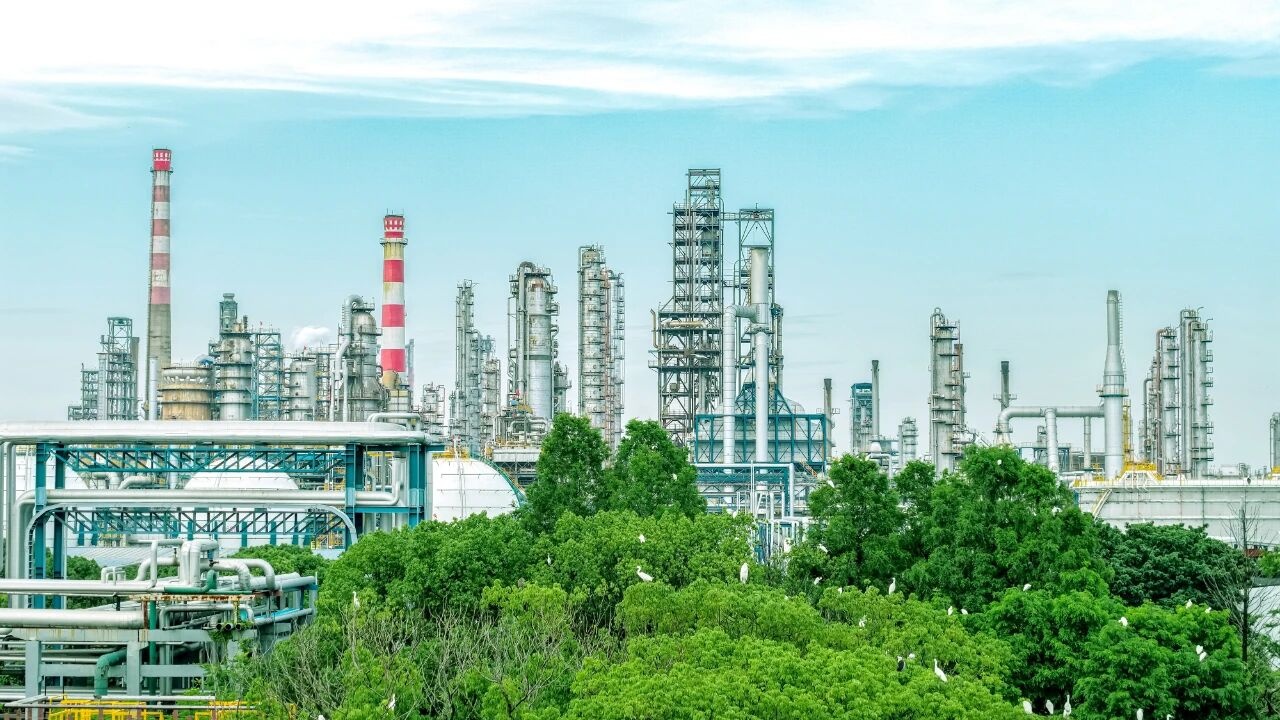 何以中国·青绿人间丨塔林深处有鹭栖