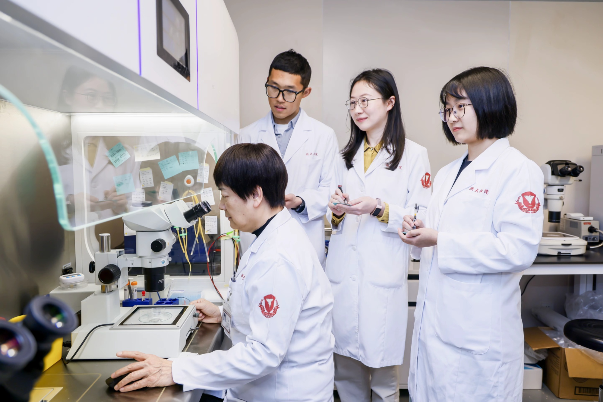 Huang Hefeng: Integrating Artificial Intelligence into Innovation to Accelerate Digital Healthcare