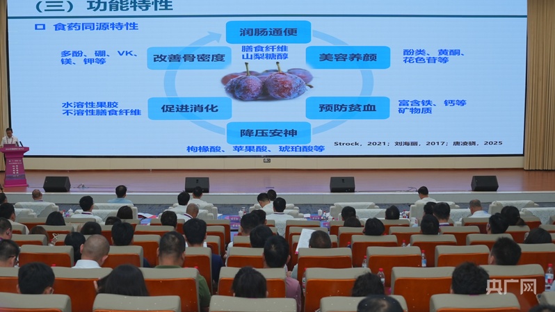 两大科创平台落地伽师2026中国新梅行业大会开启新梅产业高质量新篇(图5)