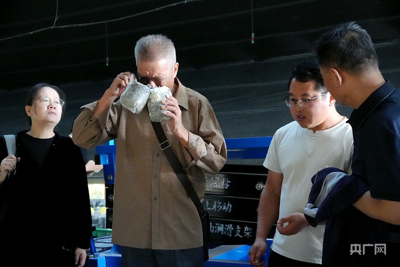 塞上花开丨六盘山下点“菌”成金：福建专家团把实验室搬进固原菌棚