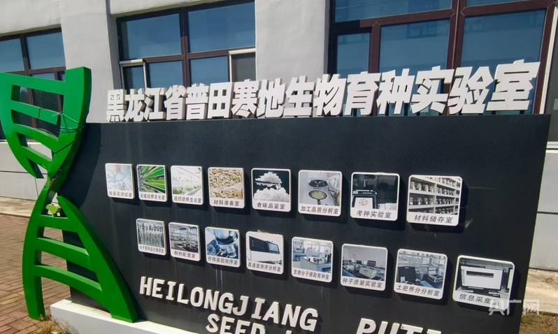 中国饭碗·看龙江一粒良种的丰收答卷(图7)
