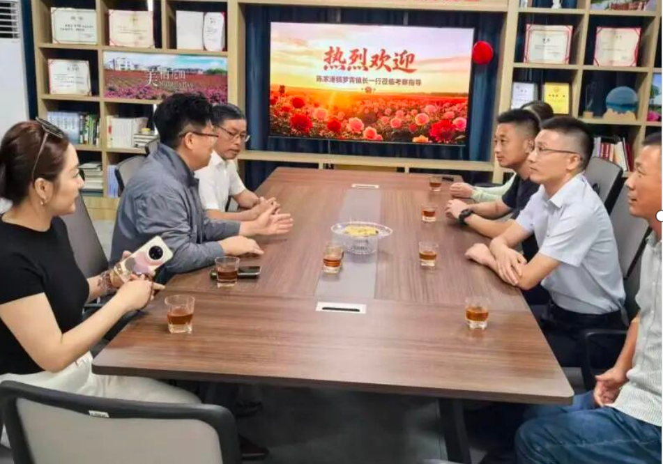 江苏响水开展项目引建“百日攻坚”行动(图2)