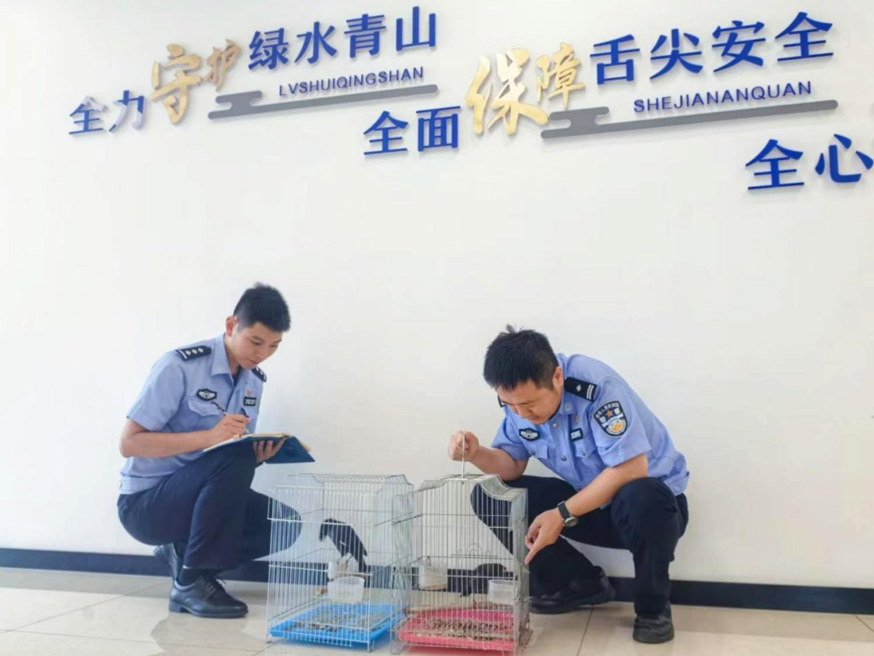 昆山公安:探索城市发展与生态守护平衡共振的密码(图6)
